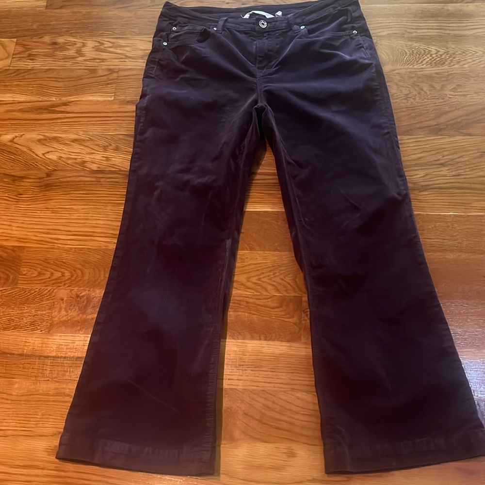 Soft Surroundings 10 Petite purple velvet pants